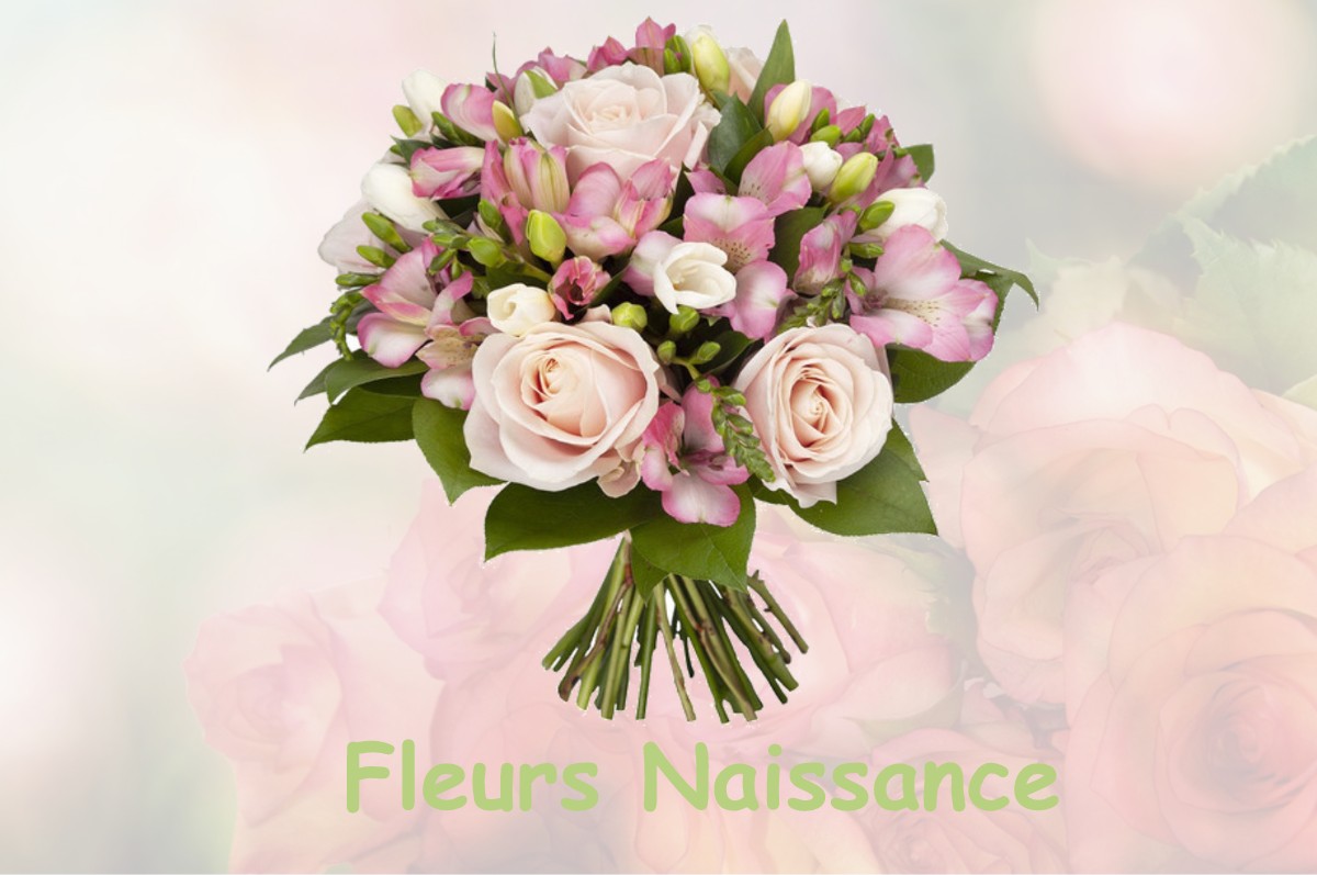 fleurs naissance LAFFITE-TOUPIERE