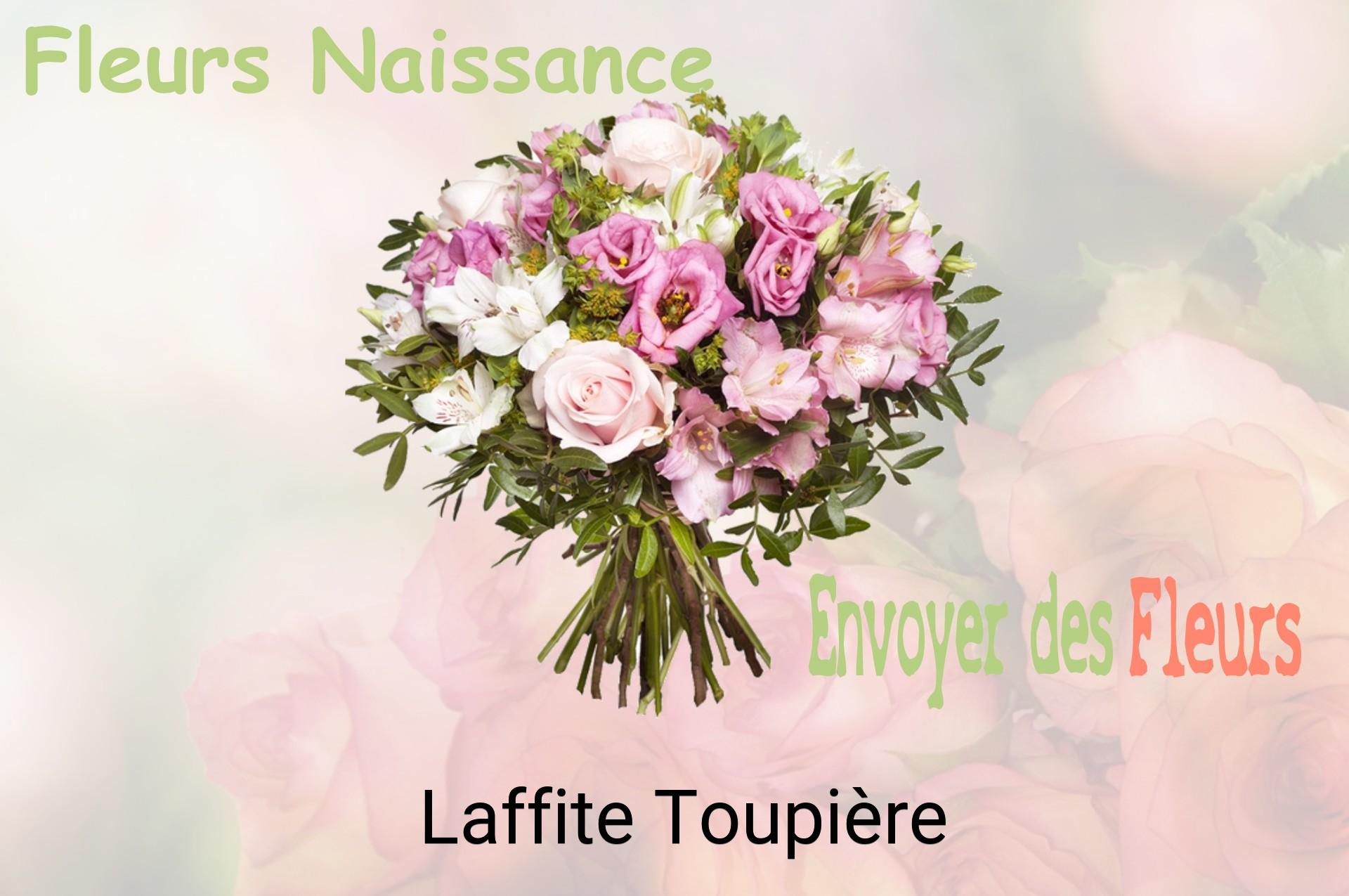 Bouquet de fleurs de naissance livré à Laffite-Toupière