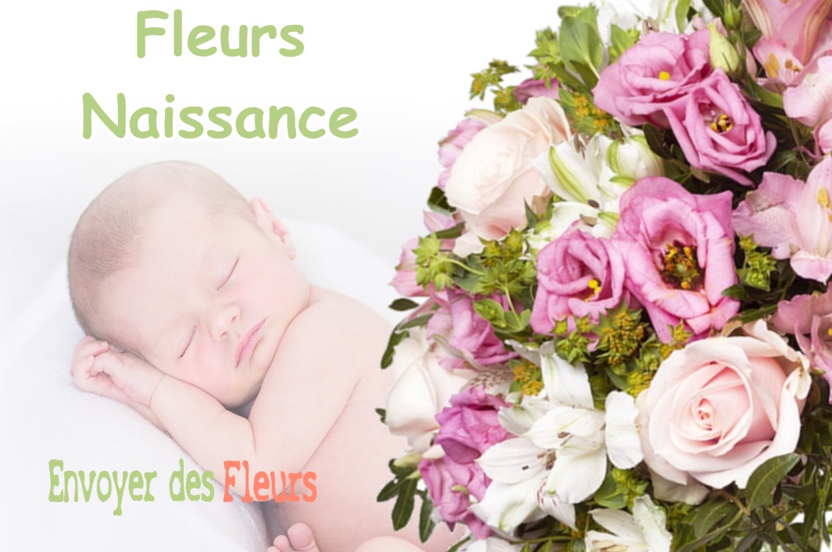 lIVRAISON FLEURS NAISSANCE à LAFFITE-TOUPIERE